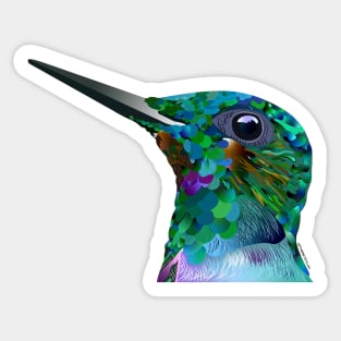 Hummingbird Sticker